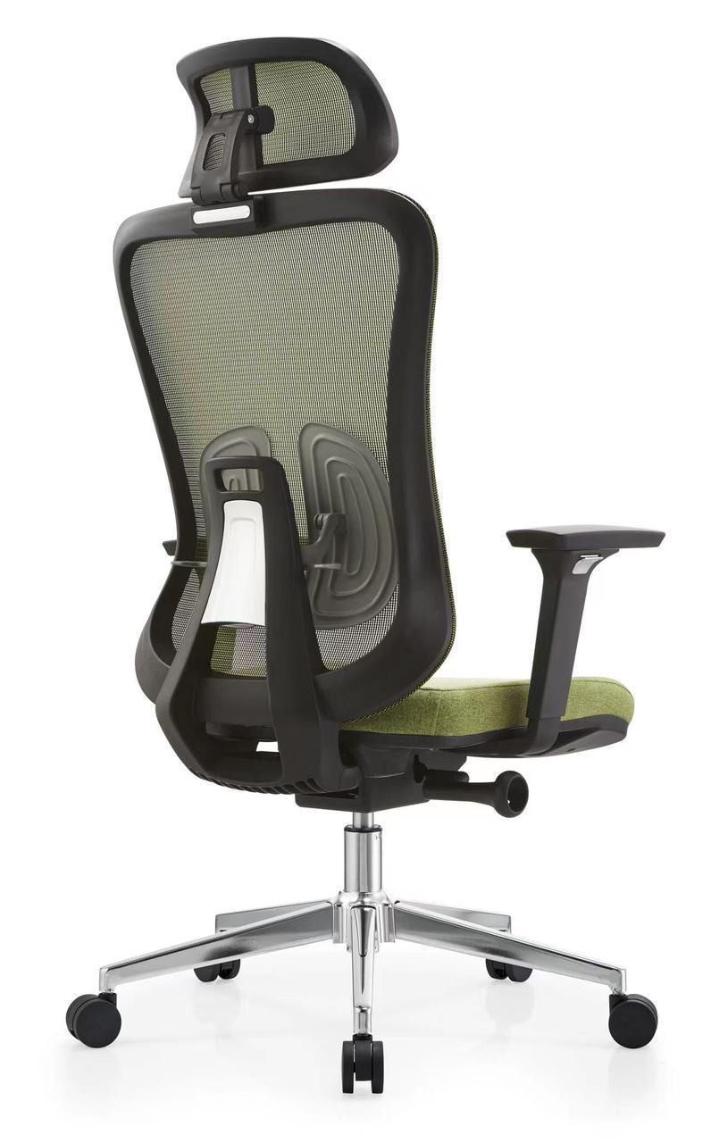 Seho Ergonomic Office Chair, Green Mesh Back, Adjustable Headrest and Lumbar Support, High Back, for Office Use