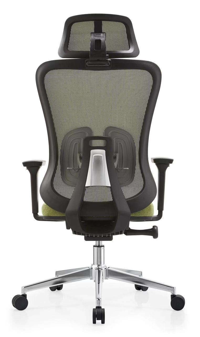 Seho Ergonomic Office Chair, Green Mesh Back, Adjustable Headrest and Lumbar Support, High Back, for Office Use