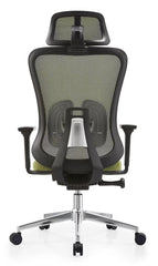 Seho Ergonomic Office Chair, Green Mesh Back, Adjustable Headrest and Lumbar Support, High Back, for Office Use
