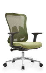 Seho ergonomic office chair , Green mesh back