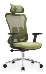 Seho Ergonomic Office Chair, Green Mesh Back, Adjustable Headrest and Lumbar Support, High Back, for Office Use